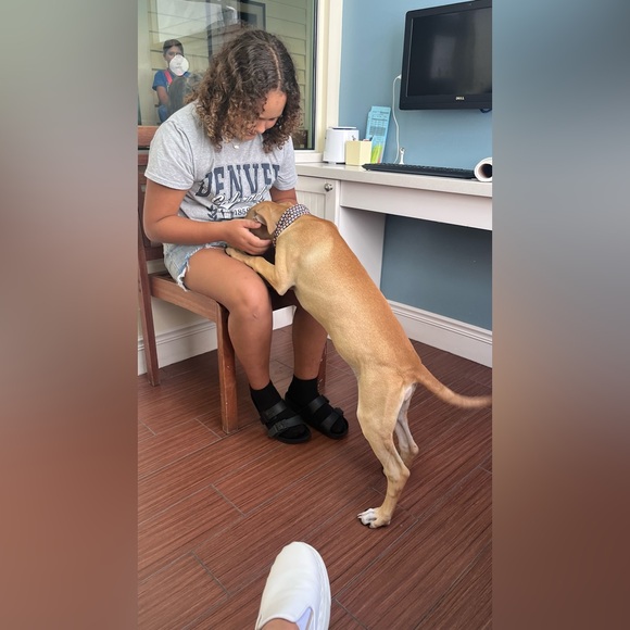 Meet your Posher, Adela - Picture 4 of 6